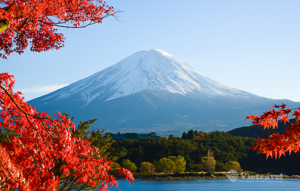 Nhật Bản: Tokyo - Núi Phú Sĩ - Hồ Yamanaka - Nagoya - Công viên Nabana no sato -Kobe - Kyoto - Osaka | Lễ Hội Ánh Sáng | Thưởng thức trái cây | Trải nghiệm Kaba bus | Thu bên nhau